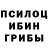 Псилоцибиновые грибы Cubensis AsHeR_YT