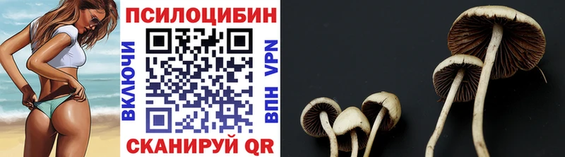 цены наркотик  blacksprut сайт  Псилоцибиновые грибы прущие грибы  Псков 
