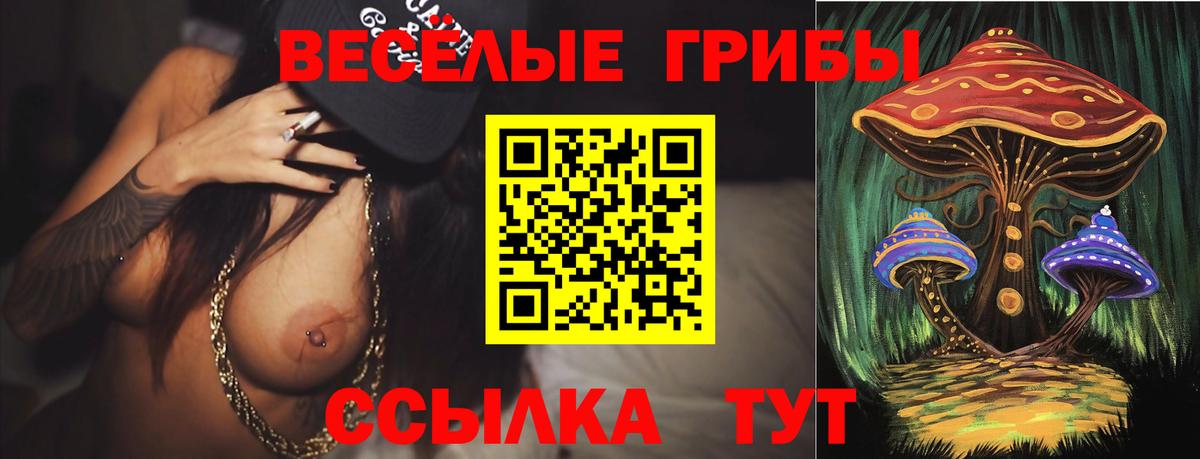 Псилоцибиновые грибы прущие грибы Псков